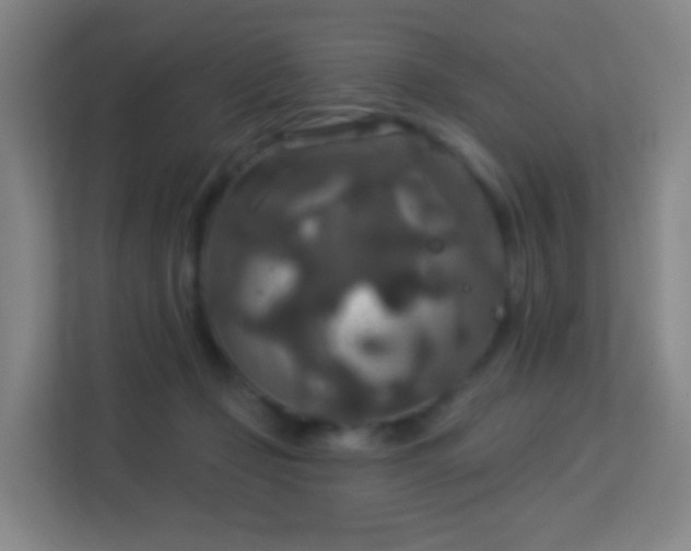 X0000113180365200909111059