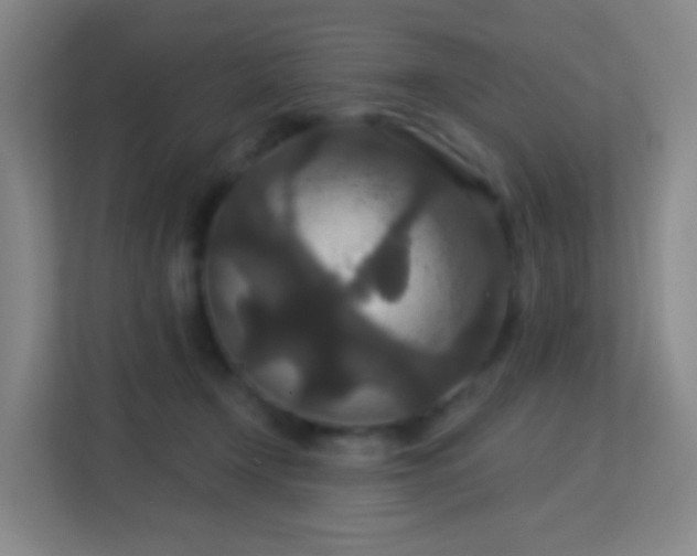 X0000113180366200909111059