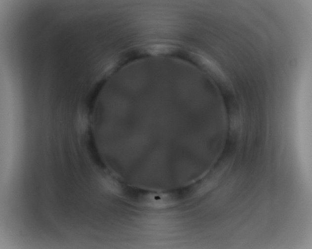 X0000113180367200909111059