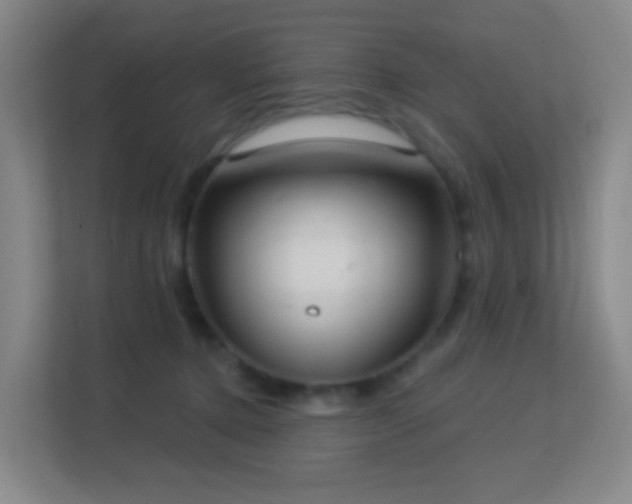 X0000113180368200909111059