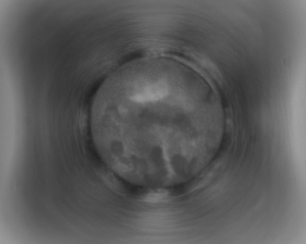X0000113180369200909111059