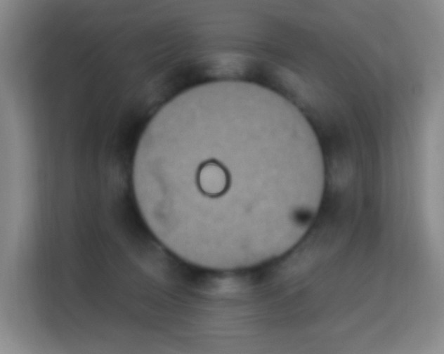 X0000113180370200909111059