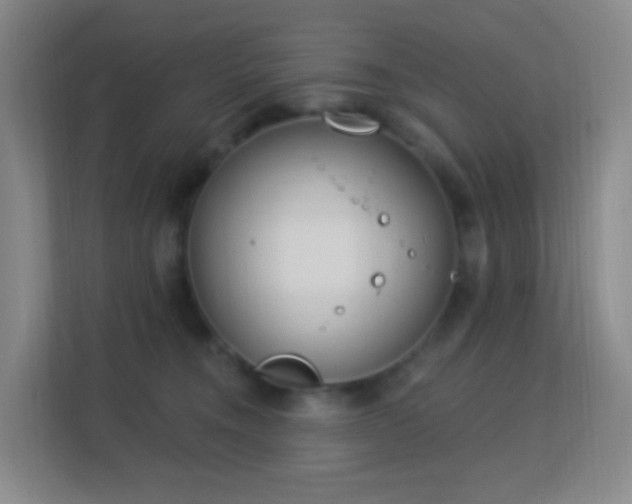 X0000113180372200909111059