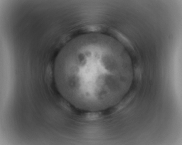X0000113180373200909111059