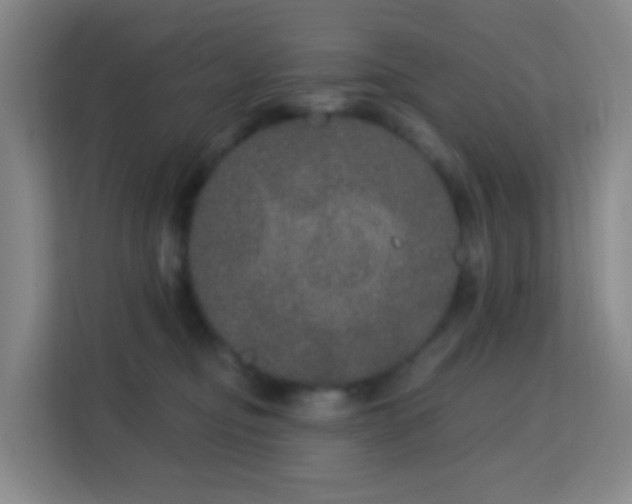 X0000113180374200909111059
