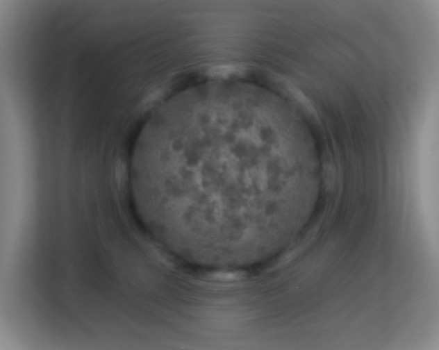X0000113180375200909111059