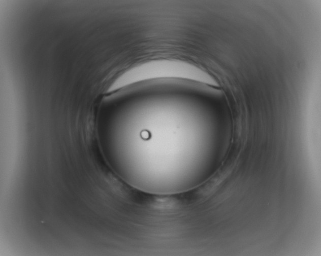 X0000113180376200909111059