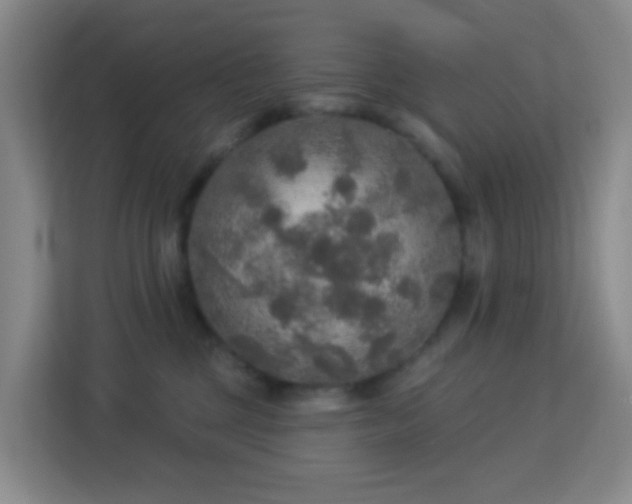 X0000113180377200909111059