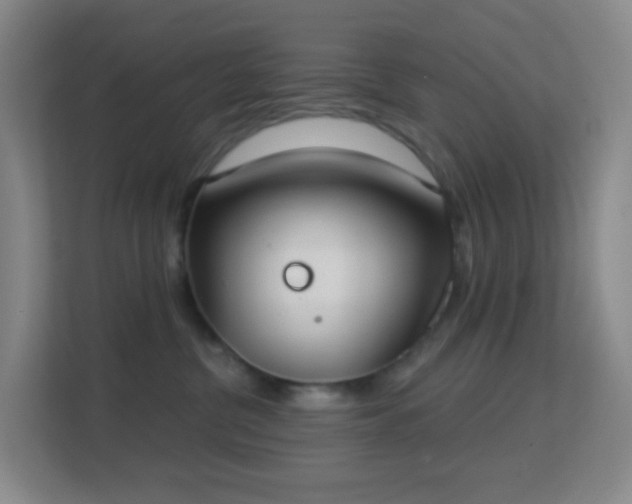 X0000113180380200909111059