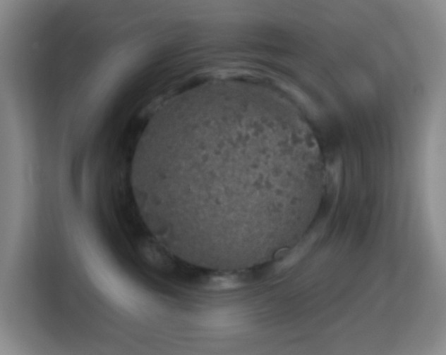 X0000113180381200909111059