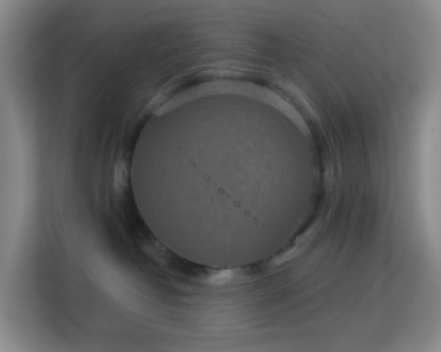 X0000113180382200909111059