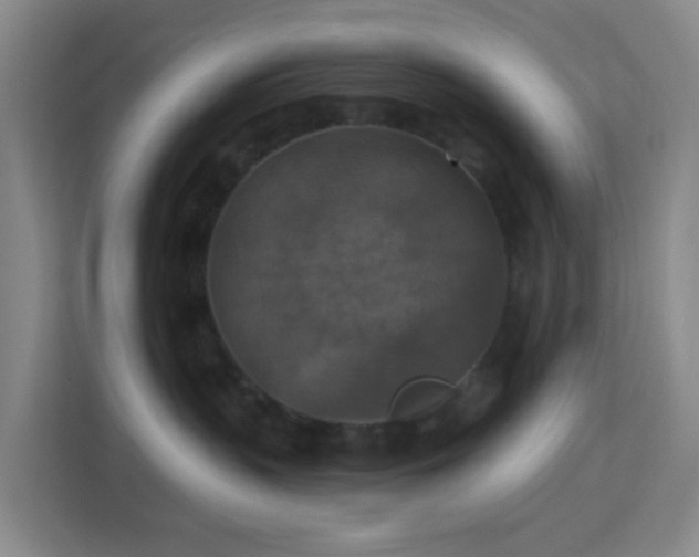 X0000113180383200909111059