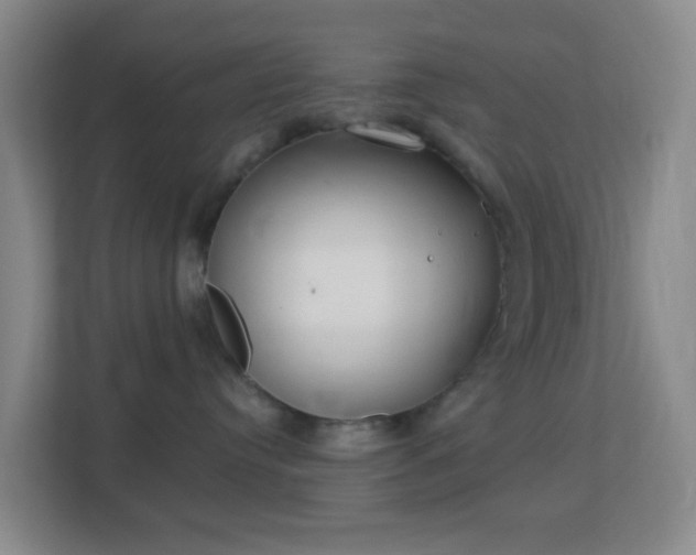 X0000113180384200909111059
