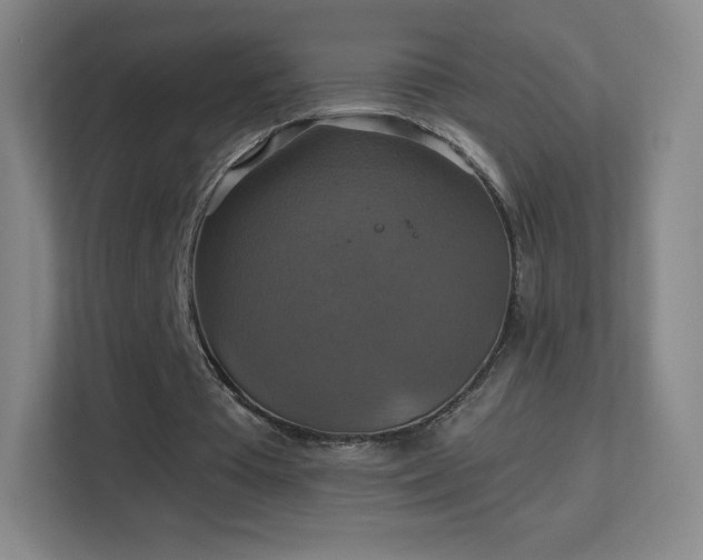X0000113180385200909111059