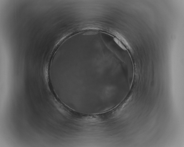X0000113180386200909111059