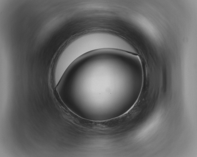 X0000113180387200909111059