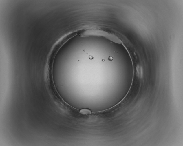 X0000113180388200909111059