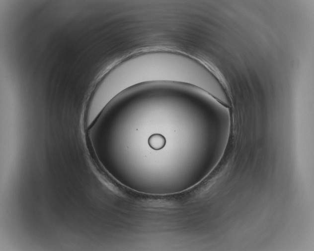 X0000113180389200909111059