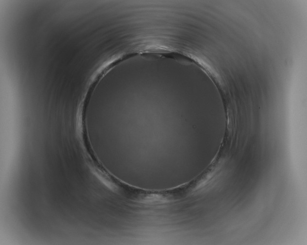 X0000113180390200909111059