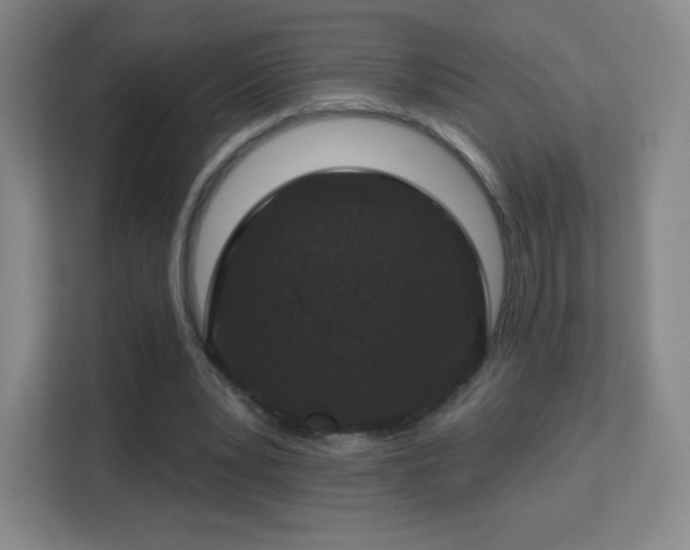 X0000113180391200909111059