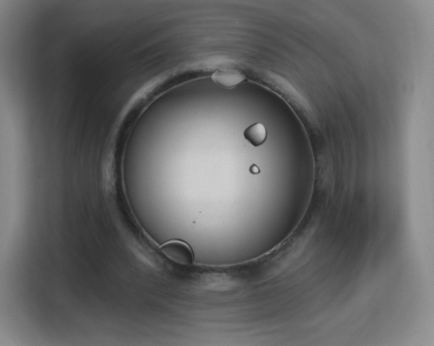 X0000113180392200909111059