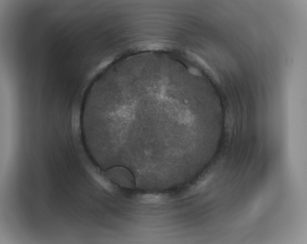 X0000113180394200909111059