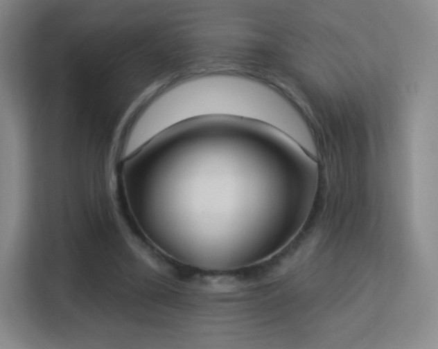 X0000113180395200909111059