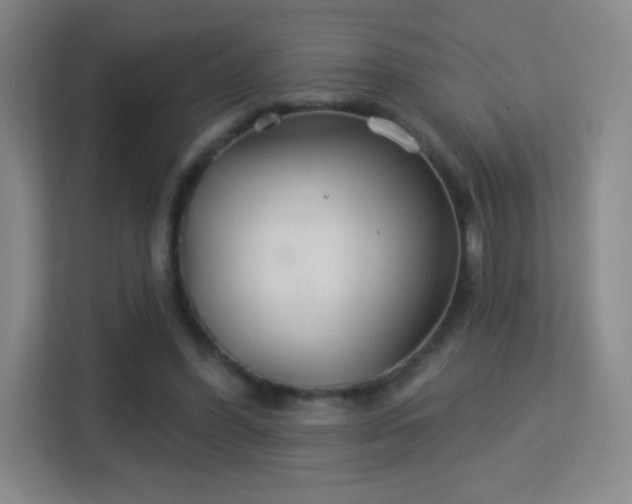 X0000113180396200909111059