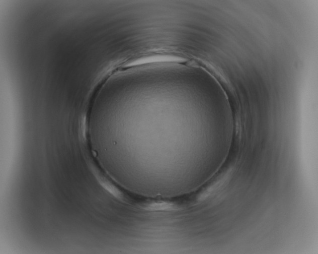 X0000113180397200909111059