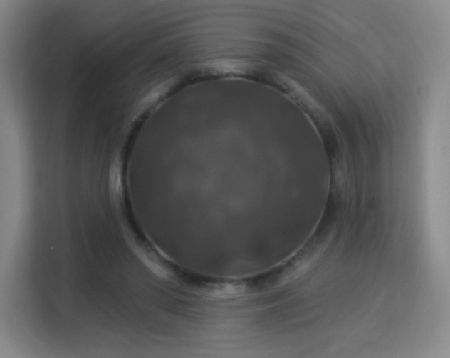X0000113180398200909111059