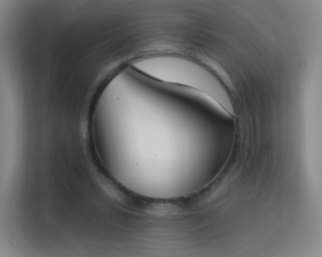 X0000113180399200909111059