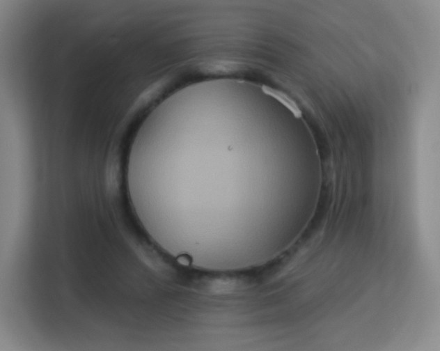 X0000113180400200909111059