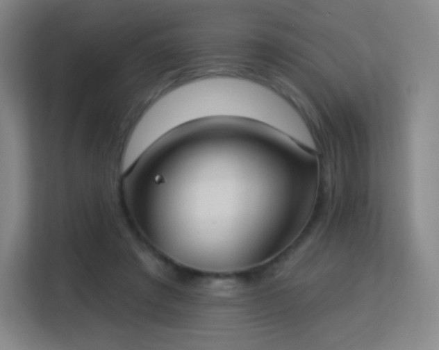 X0000113180401200909111059