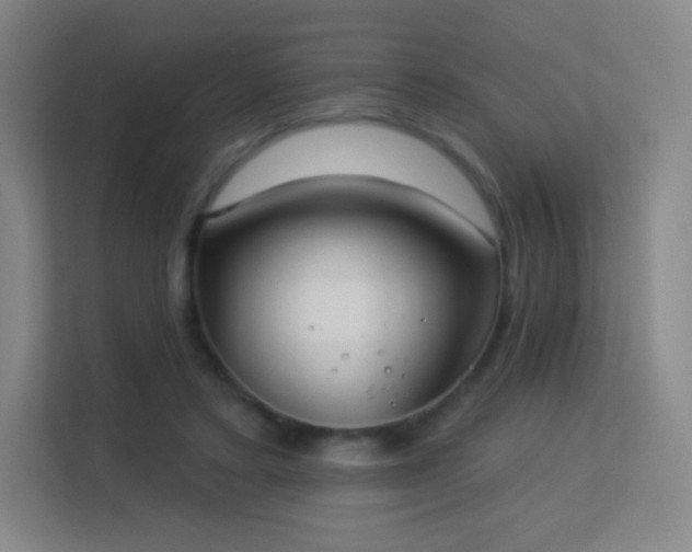 X0000113180403200909111059