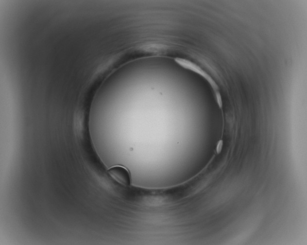 X0000113180404200909111059