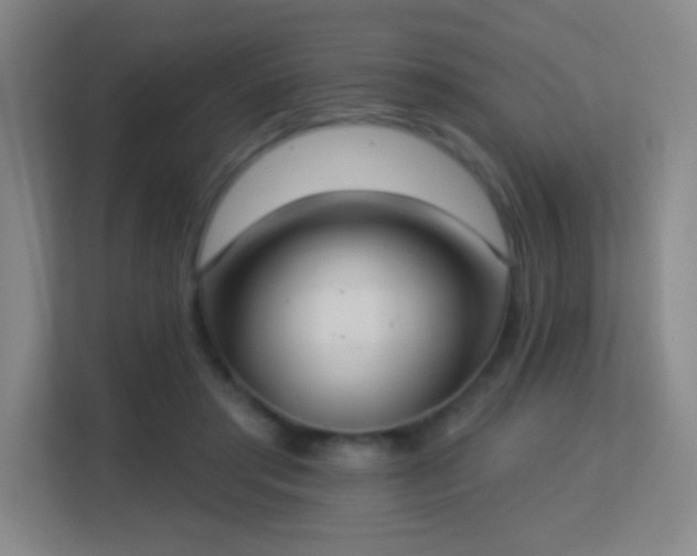 X0000113180405200909111058