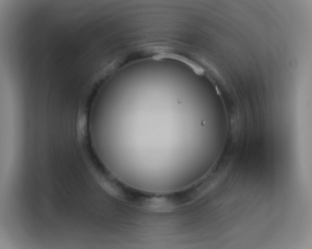 X0000113180406200909111058