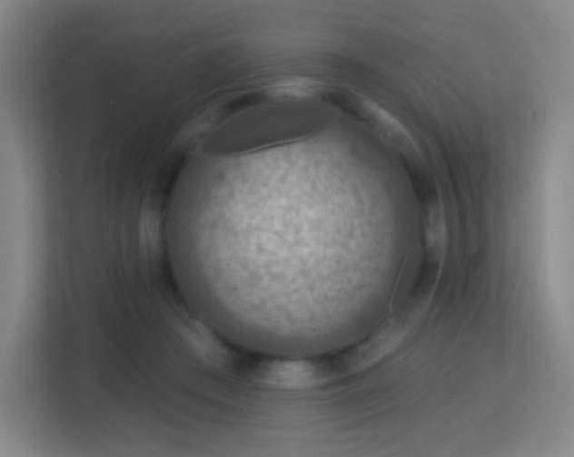 X0000113180409200909111058