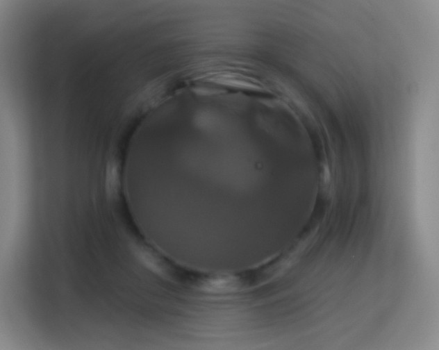 X0000113180410200909111058