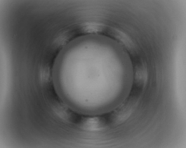 X0000113180411200909111058