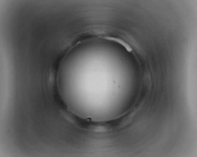 X0000113180412200909111058