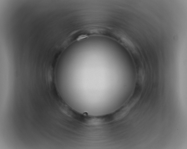 X0000113180413200909111058