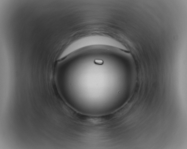 X0000113180417200909111058