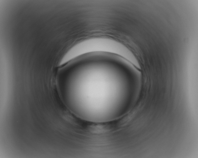 X0000113180419200909111058