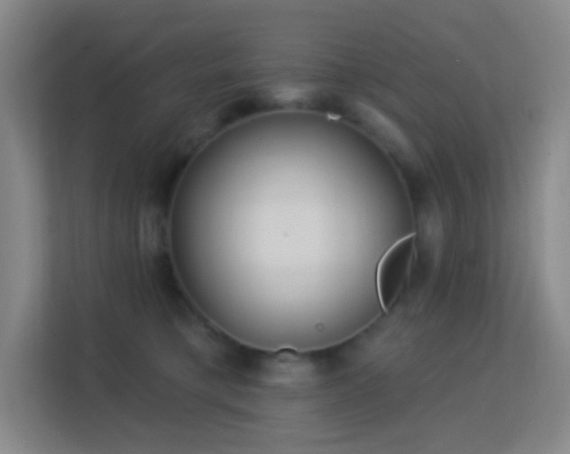 X0000113180421200909111058