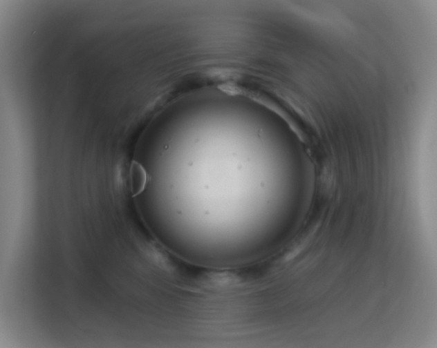 X0000113180424200909111058