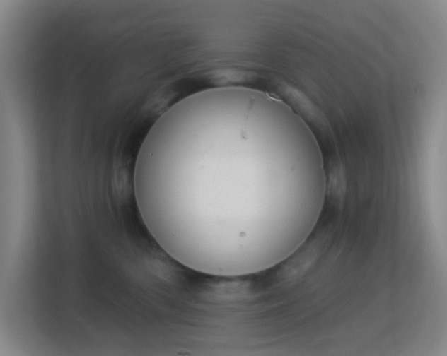 X0000113180426200909111058