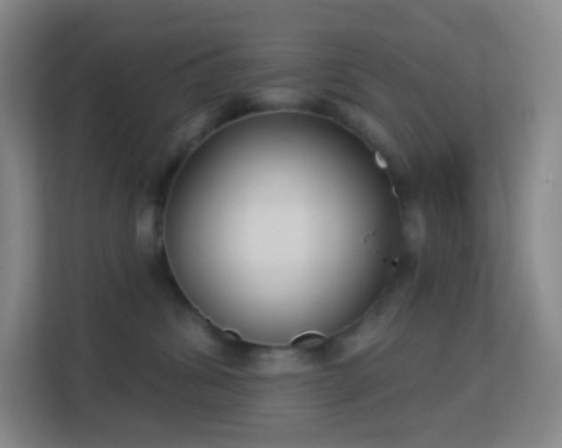 X0000113180428200909111058