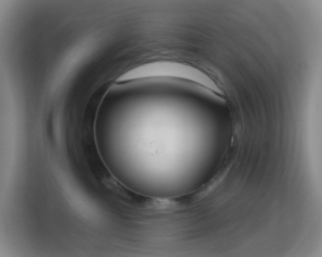 X0000113180429200909111058