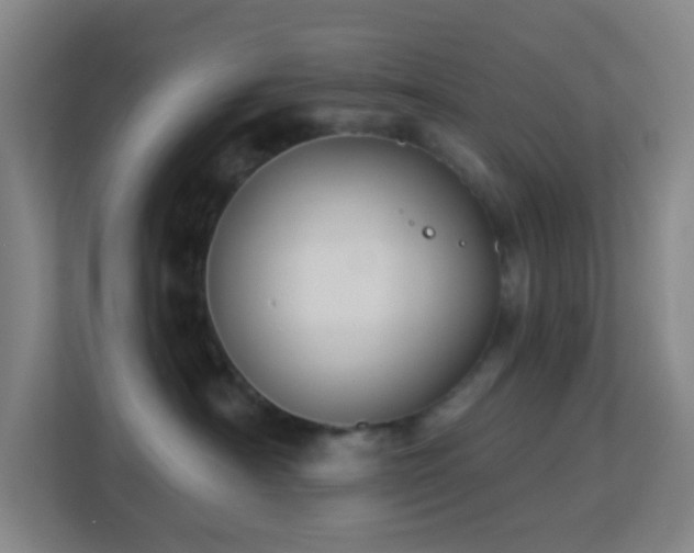 X0000113180430200909111058